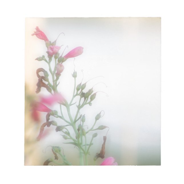 Elegant Floral Photography Notepad (Front)