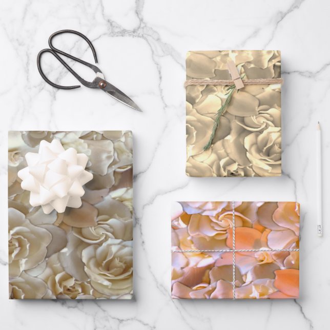 Elegant Floral Rose Petal Pattern  Wrapping Paper Sheet (Front)
