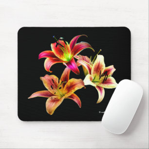 Elegant Floral Yellow Pink Daylilies Flowers Mouse Pad