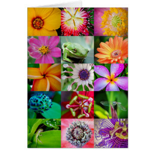 Elegant Flowers and Creatures Floral Pattern