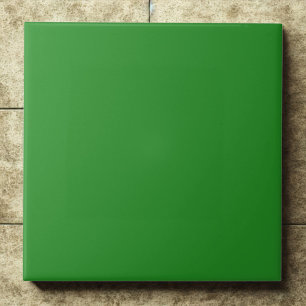 Elegant Forest Green #228b22 Modern Accent Ceramic Tile
