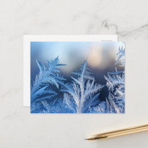  Elegant Frost Crystal Winter Postcard