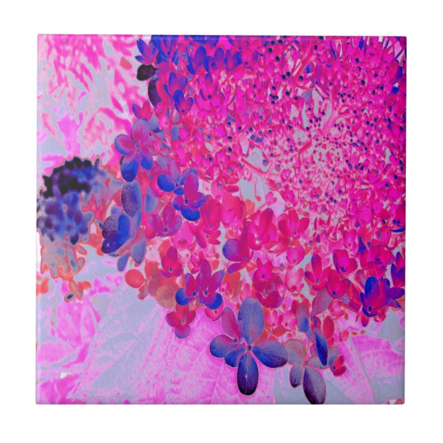 Elegant Fuchsia and Dark Blue Limelight Hydrangea Ceramic Tile (Front)