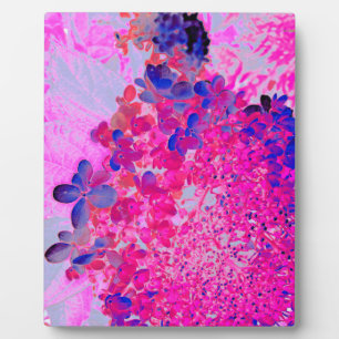 Elegant Fuchsia and Dark Blue Limelight Hydrangea Plaque
