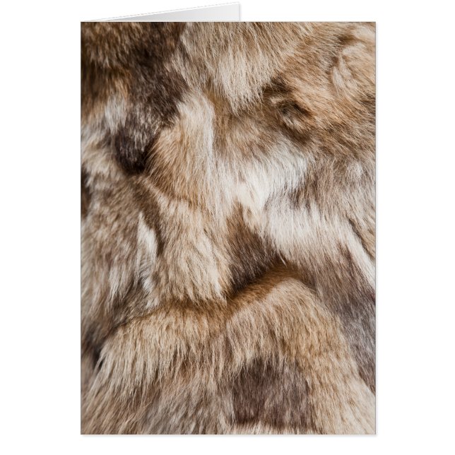 Elegant fur texture (Front)