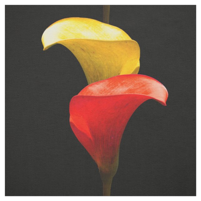 Elegant Gold and Crimson Calla Lilies Fabric (Swatch)