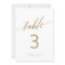 Elegant Gold Calligraphy 5x7" Table Number
