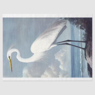 Elegant Great Egret Watercolor Decoupage Bird Art Tissue Paper