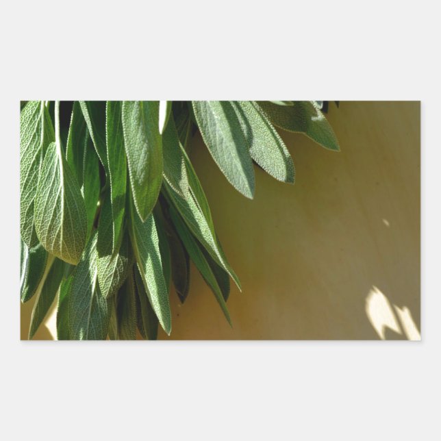 Elegant green botanical leaves Fresh-cut herbs Rectangular Sticker (Front)