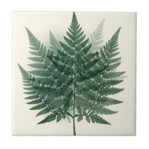 Elegant Green Fern Fronds Botanical Ceramic Tile