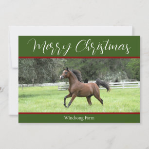 Elegant Green Red Arabian Horse 1 Photo Christmas Holiday Card