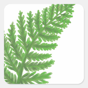 Elegant green watercolor ferns woodland leaves square sticker