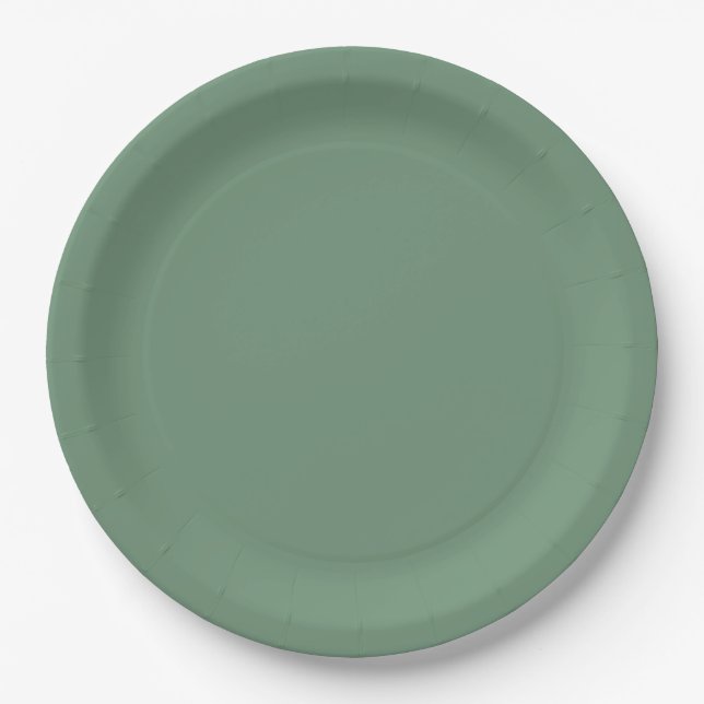 Elegant Green Winter Paper Plate (Front)