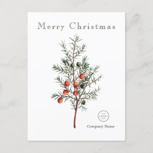 Elegant Greenery Christmas Berries Holiday Postcard