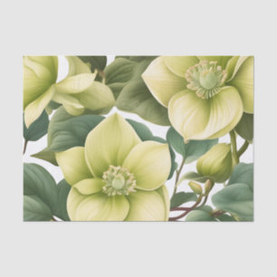 Elegant Hellebore Flowers Tissue Paper