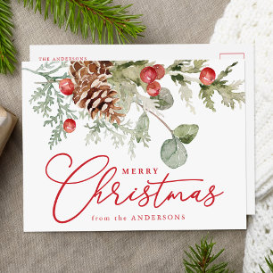Elegant Holly Berries and Pine Cones Non-Photo Holiday Postcard
