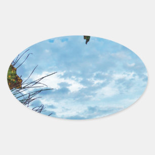 Elegant Holly Christmas,  blue sky Oval Sticker