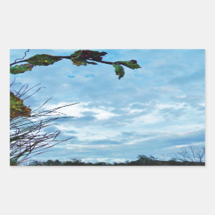 Elegant Holly Christmas,  blue sky Rectangular Sticker