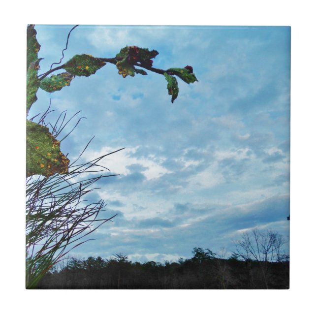 Elegant Holly Christmas,  blue sky Tile (Front)