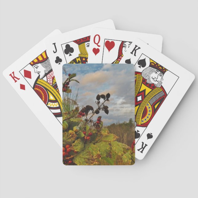 Elegant Holly Christmas, Playing Cards (Back)