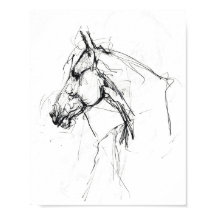 Elegant Horse Portrait Sketch - Premium