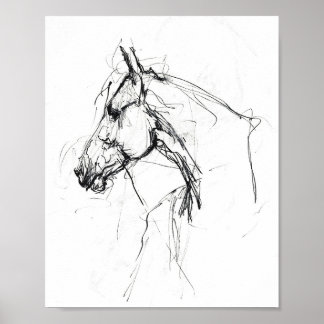 Elegant Horse Portrait Sketch - Premium Poster