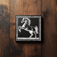 Elegant Horse Training Riding Black Equestrian
