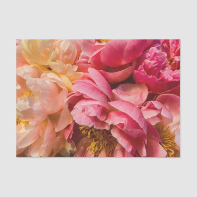 Elegant Hot Pink & Peach Peonies Tissue Paper (Front)