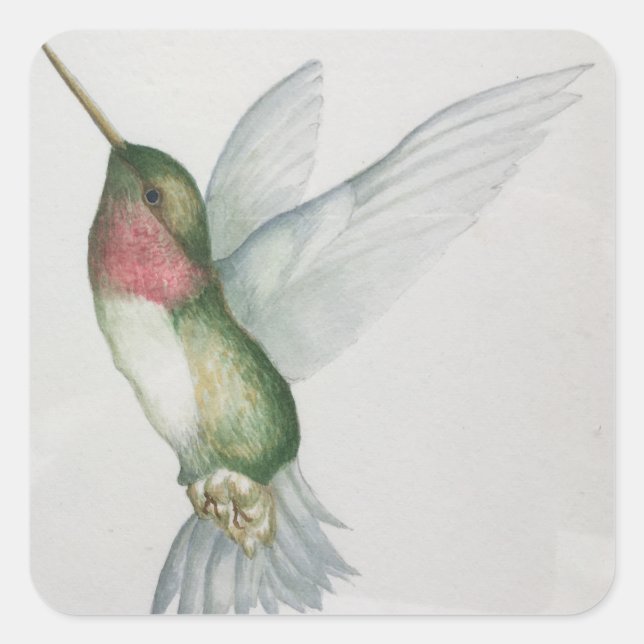Elegant Hummingbird Wings Watercolor Stickers (Front)