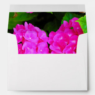 Elegant Hydrangea Photo Floral Pink Botanical Envelope