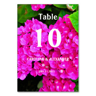 Elegant Hydrangea Pink Floral Blossoms  Table Number