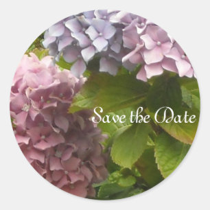 Elegant Hydrangeas Classic Round Sticker