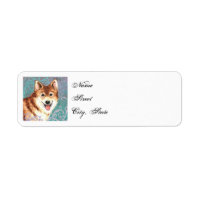 Elegant Icelandic Sheepdog