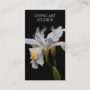 Elegant Iris Living Art Studios / Photographer Business Card