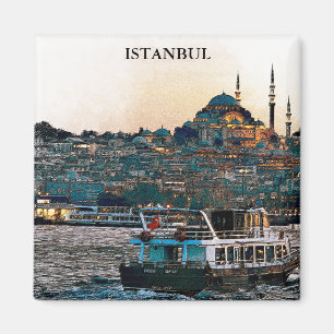 Elegant Istanbul Turkey Hagia Sophia Architecture  Magnet