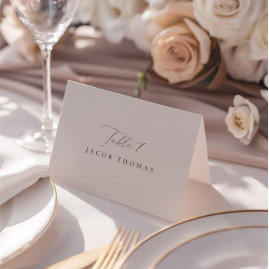 Elegant Ivory Minimalist Wedding Place Card