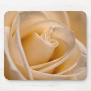 Elegant Ivory Rose Mouse Pad