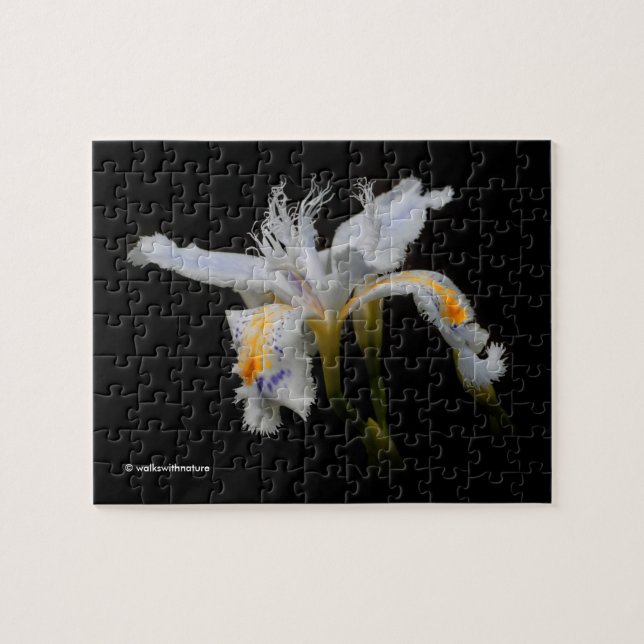 Elegant Japanese Crested Iris White Flowers Jigsaw Puzzle (Horizontal)