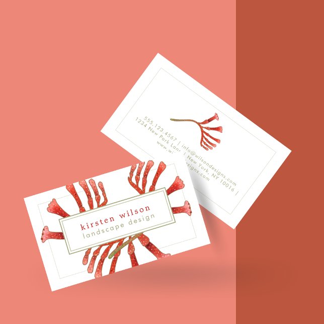Elegant Kangaroo Paw Flowers - Personalised Business Card (Creator Uploaded)