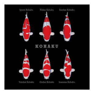 Elegant Koi Fish Poster – Timeless & Artistic Deco