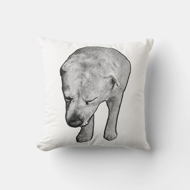 Elegant Lab Study with Soft Dots Cushion (Front)