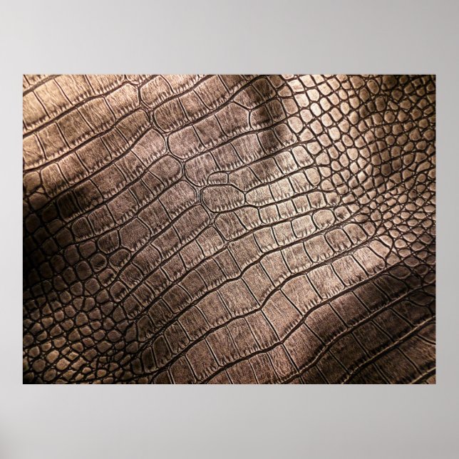 Elegant leather pattern close up. poster (Front)