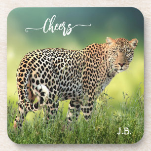 Elegant Leopard Big Cat Coaster