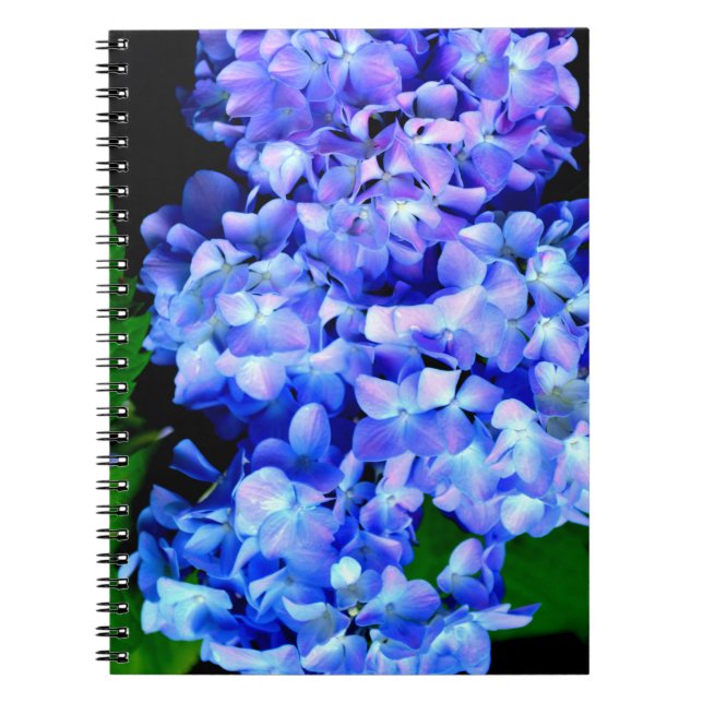 Elegant light purple blue magenta floral hydrangea notebook (Front)