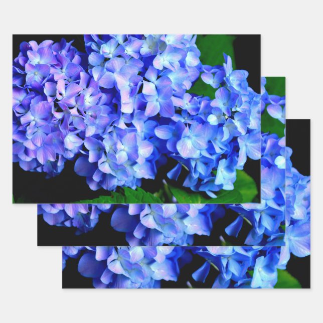 Elegant light purple blue magenta floral hydrangea wrapping paper sheet (Set)