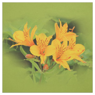 Elegant Lily of the Incas / Yellow Alstroemeria Fabric