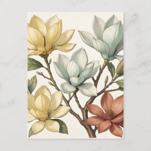 Elegant Magnolia Blossoms Cream Yellow Terracotta Postcard