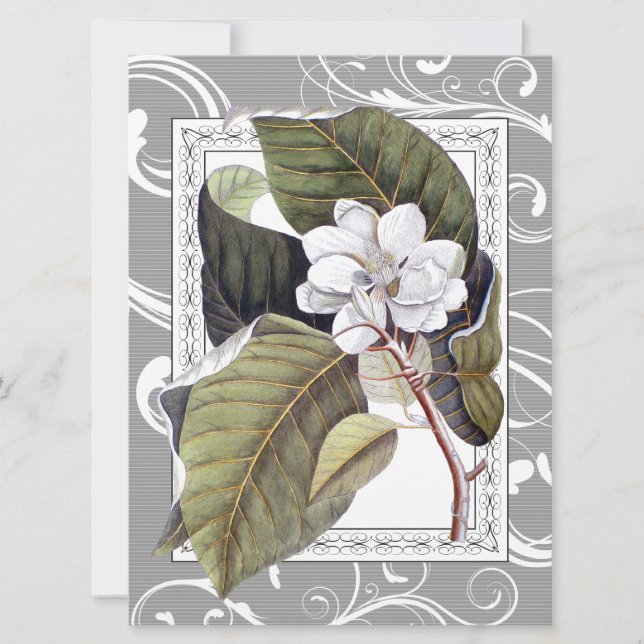Elegant Magnolia Southern Belle Wedding Invitation (Front)