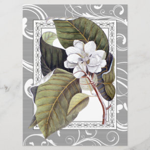 Elegant Magnolia Southern Belle Wedding Invitation