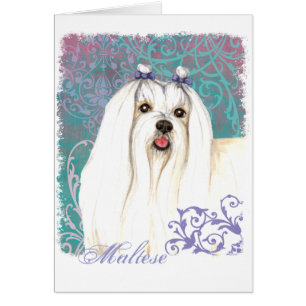 Elegant Maltese Card